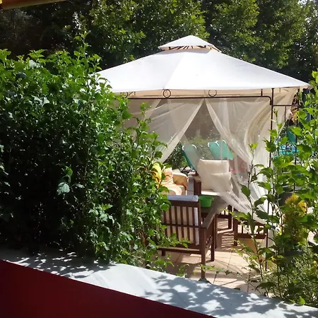 Damia Hotel